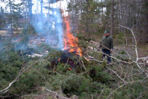 Brush being burned.